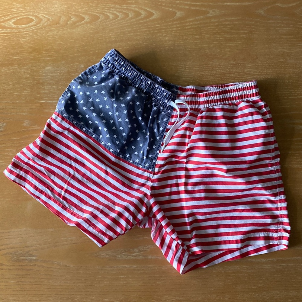 Chubbies - The Mericas 5.5" (Classic Swim Trunk)